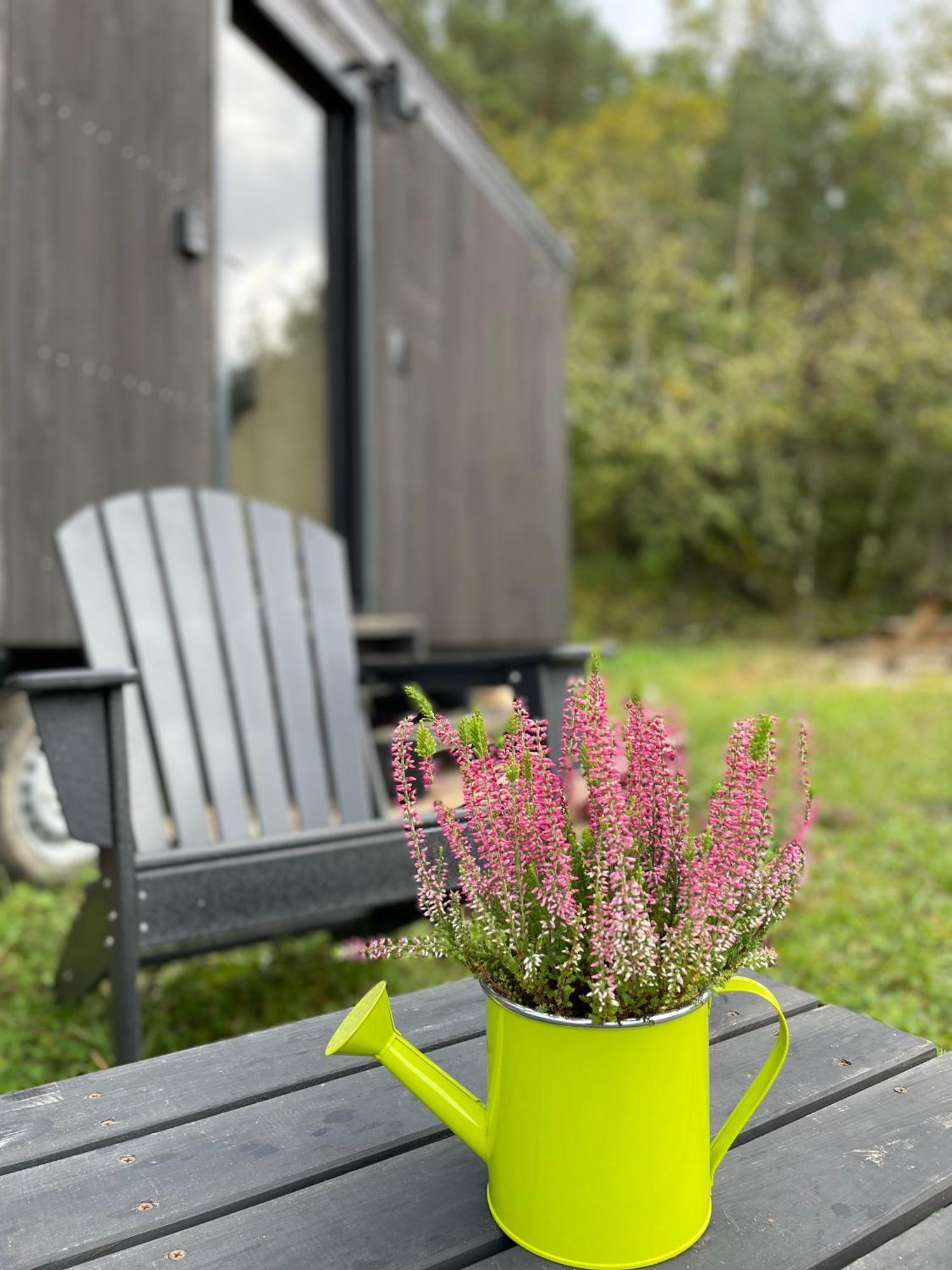L'Envolee Ecolodge, Tiny House Au Coeur Des Vignes Loches-sur-Ource Exterior foto